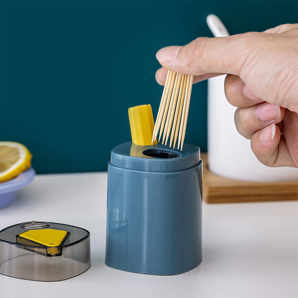 Sturdy Safe Toothpick Holder for Teeth Cleaning, Unique Home Design Decoration, Unusual Gift, 2 Pack